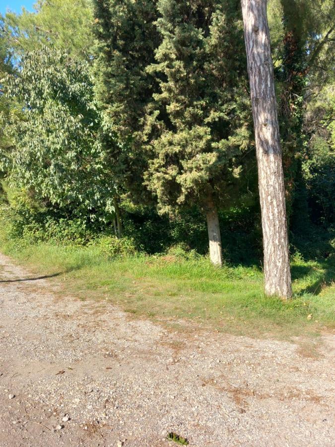 Apartmani Alma Пула Екстериор снимка